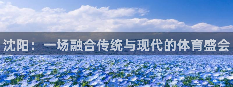 征途国际平台是正规平台吗安全吗：沈阳：一场融合传统与