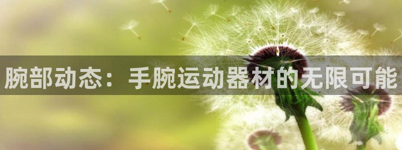 征途国际平台注册要钱吗：腕部动态：手腕运动器材的无限可能