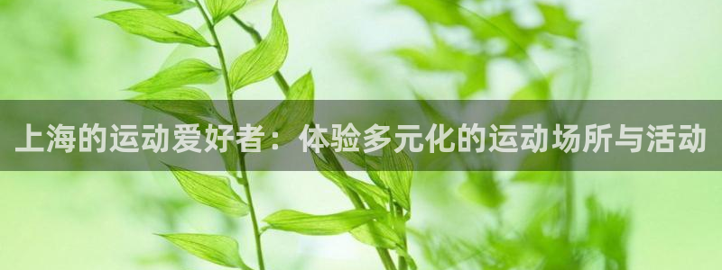 征途国际招商电话地址是多少：上海的运动爱好者：体验多元化的运