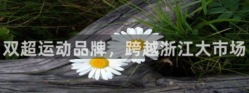 征途国际集团官网首页：双超运动品牌，跨越浙江大市场