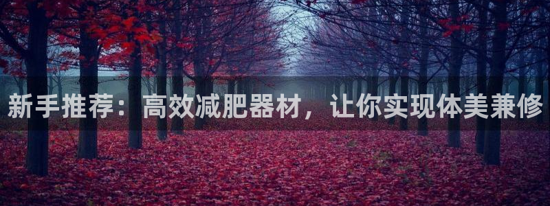 征途国际集团简介：新手推荐：高效减肥器材，让你实现体