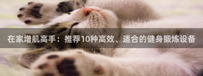征途国际娱乐首页网站大全：在家增肌高手：推荐10种高