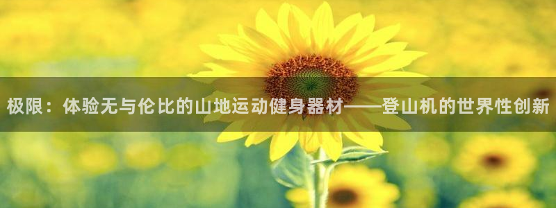 征途国际开户：极限：体验无与伦比的山地运动健身器材——登山机