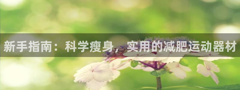 海南征途国际发展怎么样：新手指南：科学瘦身，实用的减