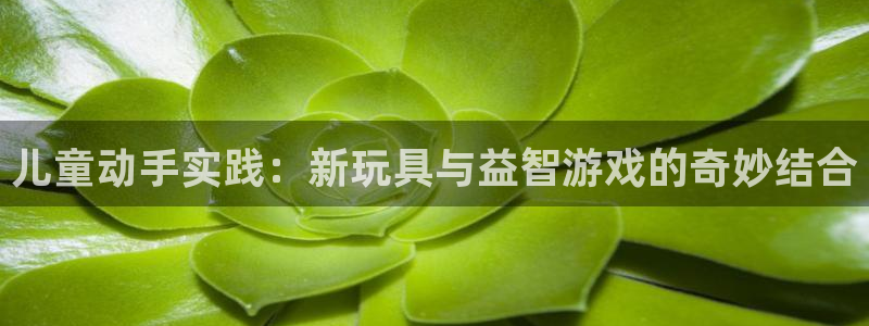 注册征途国际：儿童动手实践：新玩具与益智游戏的奇妙结