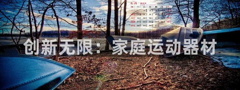 征途国际平台注册要钱吗：创新无限：家庭运动器材
