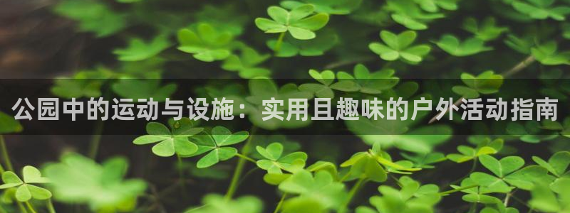 征途国际娱乐代理怎么样：公园中的运动与设施：实用且趣