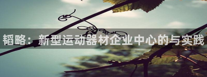 征途国际集团官网：韬略：新型运动器材企业中心的与实践