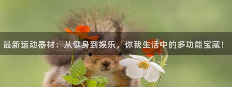 征途国际官网：最新运动器材：从健身到娱乐，你我生活中